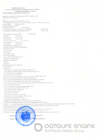 Отчет о доходах и расходах 2018г